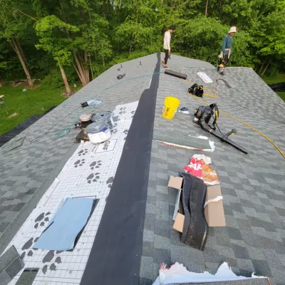 shingles