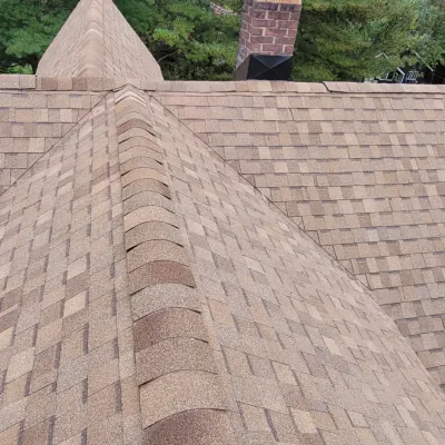 shingles
